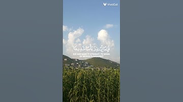 من قرأ سورةَ الكهفِ في يومِ الجمعةِ سطع له نورٌ من تحت قدمِه إلى عنانِ السماءِ يضيءُ به#الكهف