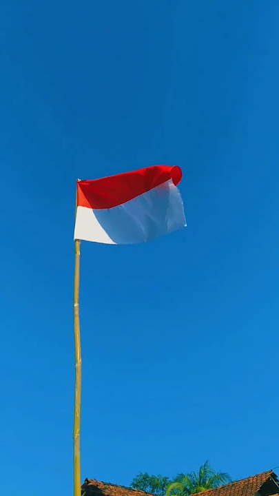 berkibar lah bendera merah putih #storywa #fypシ #vidioshort #benderaindonesia #17agustus2023