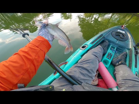 Chaos & Catfish - PVC with Pool Noodle Jug Testing 