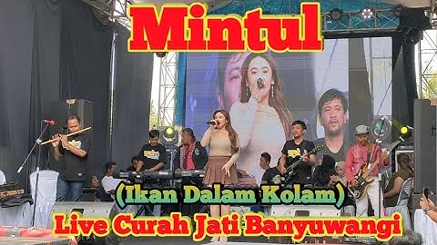 Mintul Woko Channel - Ikan Dalam Kolam - Woko Channel Music - Live Curah Jati Banyuwangi