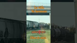 Es hermoso la vida🥹🥹🥹