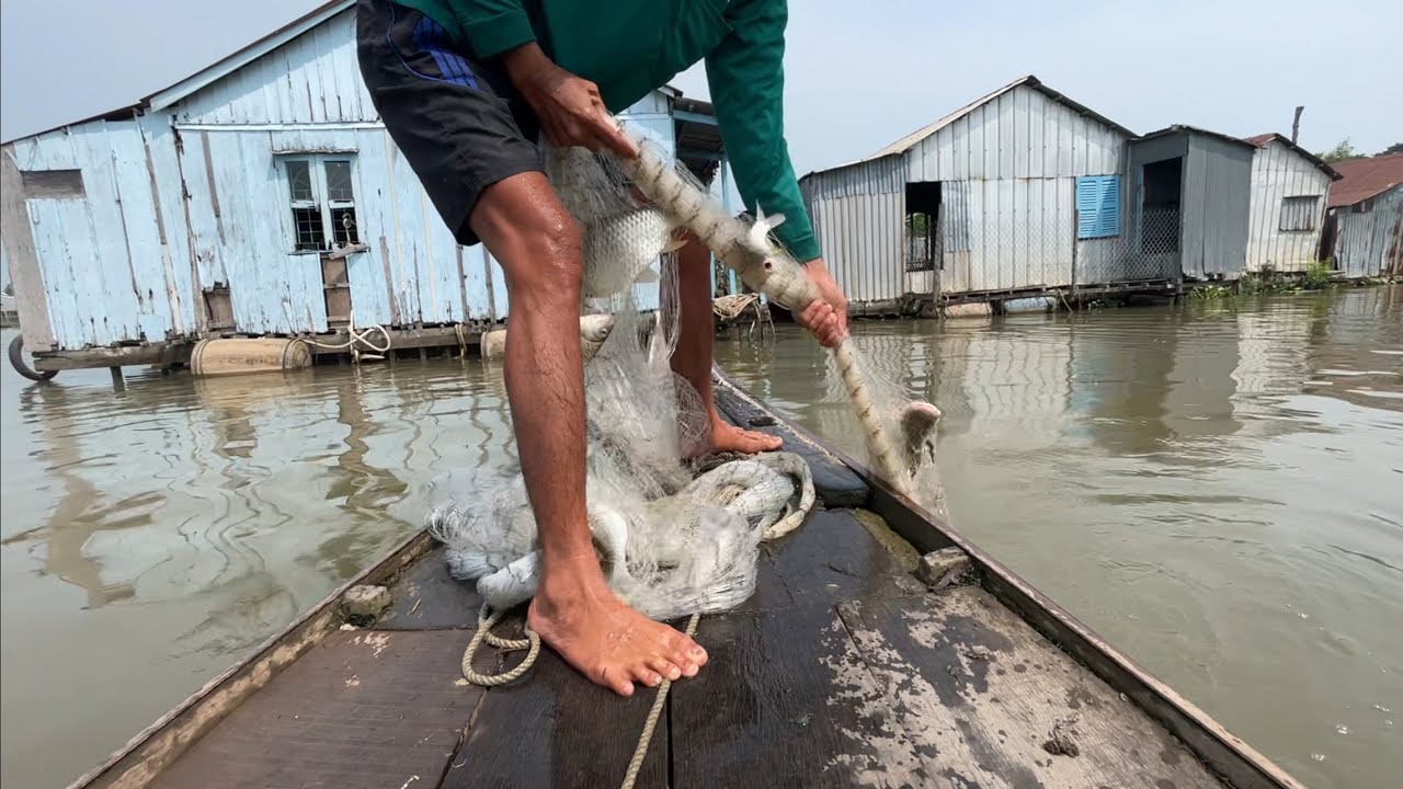 Quăng Một Chài Ngay Ổ Mè Vinh 