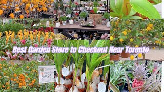 Valleyview Gardens | Best Garden Store to Checkout Near Toronto