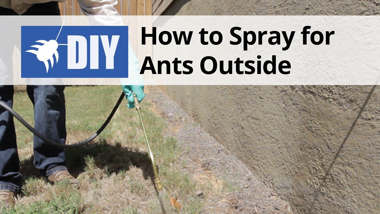 Advion ant bait arena instructions