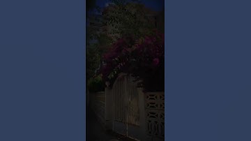 تلاوه من سورة آل عمران|بصوت القارئ عبد الرحمن مسعد🎧♥️#trending #quran #قران_كريم #راحة_نفسية #قرآن