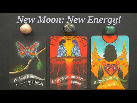 New Moon: New Energy ~Timeless pick a card tarot reading!