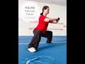 Wushu kung fu 263 rutina de ejercicios fisicos 1 