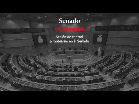 Descripción Del Puesto De Un Senador Estatal