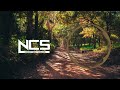 Different Heaven & EH!DE - My Heart | Drumstep | NCS - Copyright Free Music #ncs