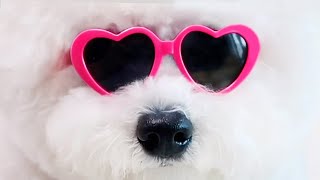 SEND THIS TO YOUR MOM WITH NO CONTEXT!!