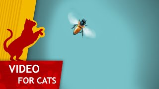 Cat Games - Bee on the Screen (Video for cats to watch) 4K screenshot 4