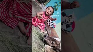 chhoti chhoti gaiya#jai sre shyambaba #love #song meri ladoo...👶🏻🐄