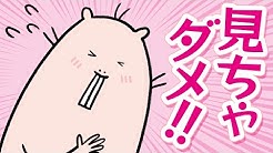 ハダカデバネズミtv Youtube ハダカデバネズミtv Youtube