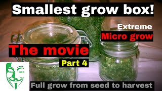 Micro Grow: From seed to harvest (PC grow box) White Widow CBD movie FULL GROW GUIDE Micro Grow: From seed to harvest (PC grow box) White Widow CBD movie FULL GROW GUIDE