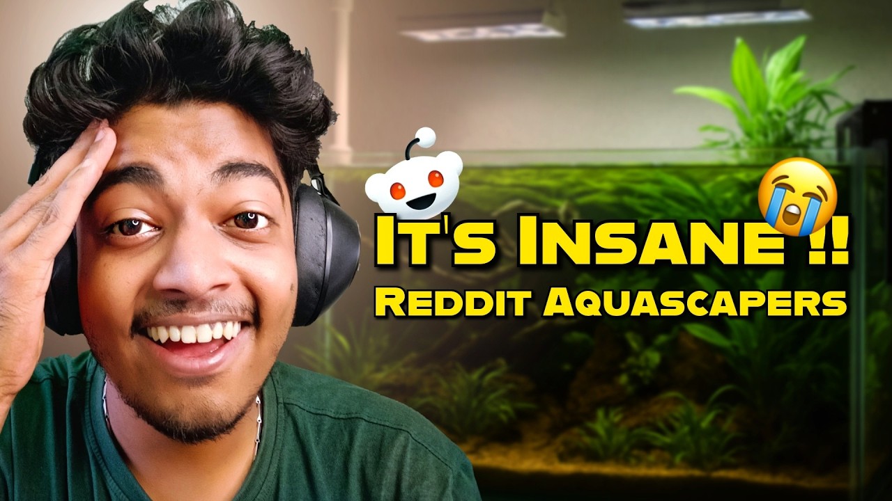 Акваскейпинг на Reddit — это ДИКОЕ 😭🤣 | Реакция золотой рыбки Момо!