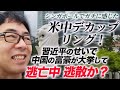 シンガポールでガチに感じた米中デカップリング!習近平のせいで中国の富豪が大挙して逃亡中。逃散か?|上念司チャンネル ニュースの虎側