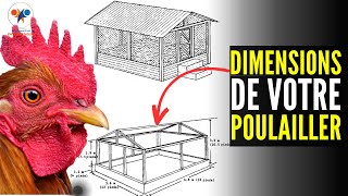 Un BON BÂTIMENT d'élevage DE POULET GOLIATH, les dimensions de votre poulailler (investir au pays)