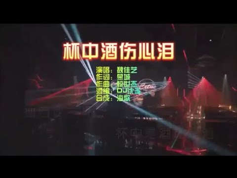 魏佳艺 《杯中酒伤心泪》DJ沈念 KTV 导唱字幕 （备有伴奏视频）