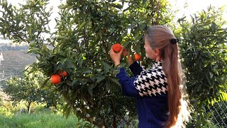 Tangerine pie in a Turkish village. Slow living