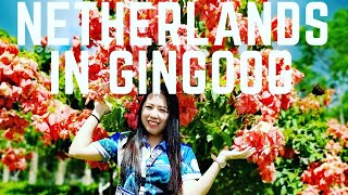 A DAY IN MY LIFE: Mt. Sioan, Gingoog City, Mis Or I NETHERLANDS in GINGOOG I Roselle Bacasnot
