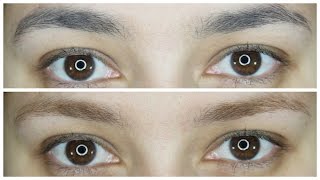 How to Lighten Your Brows at Home | Lulubella83