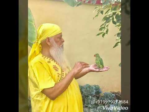 Jay baba swami english so by samarpan meditation bhajan