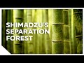 Shimadzus separation forest