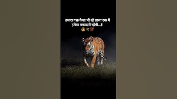 #motivation #shorts #attitude #viral #status #quotes #speech #whatsappstatus #lionattitude #sayari