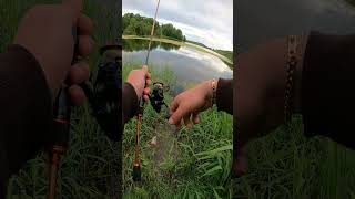 Ultralight Perch Fishing | GoPro Hero 9  #fishing #viralvideo #ultralightfishing #goprohero9 #perch