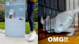 Midwest Pet Playpen Unboxing and Review (CHINCHILLA ESCAPES!!)