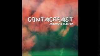 New album out: Morning Flower!