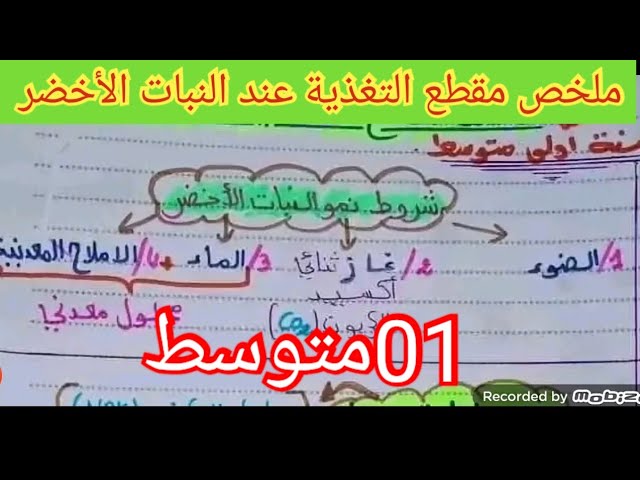 ملخص التغذية عند النبات الأخضر السنة الأولى متوسط