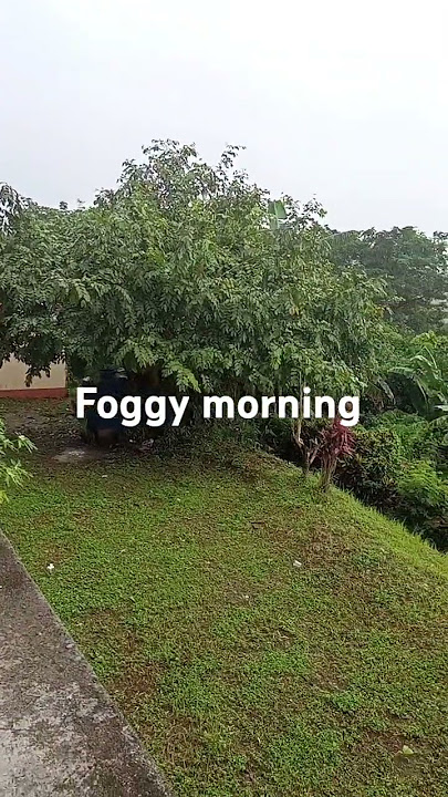 calm place @saint john vianny