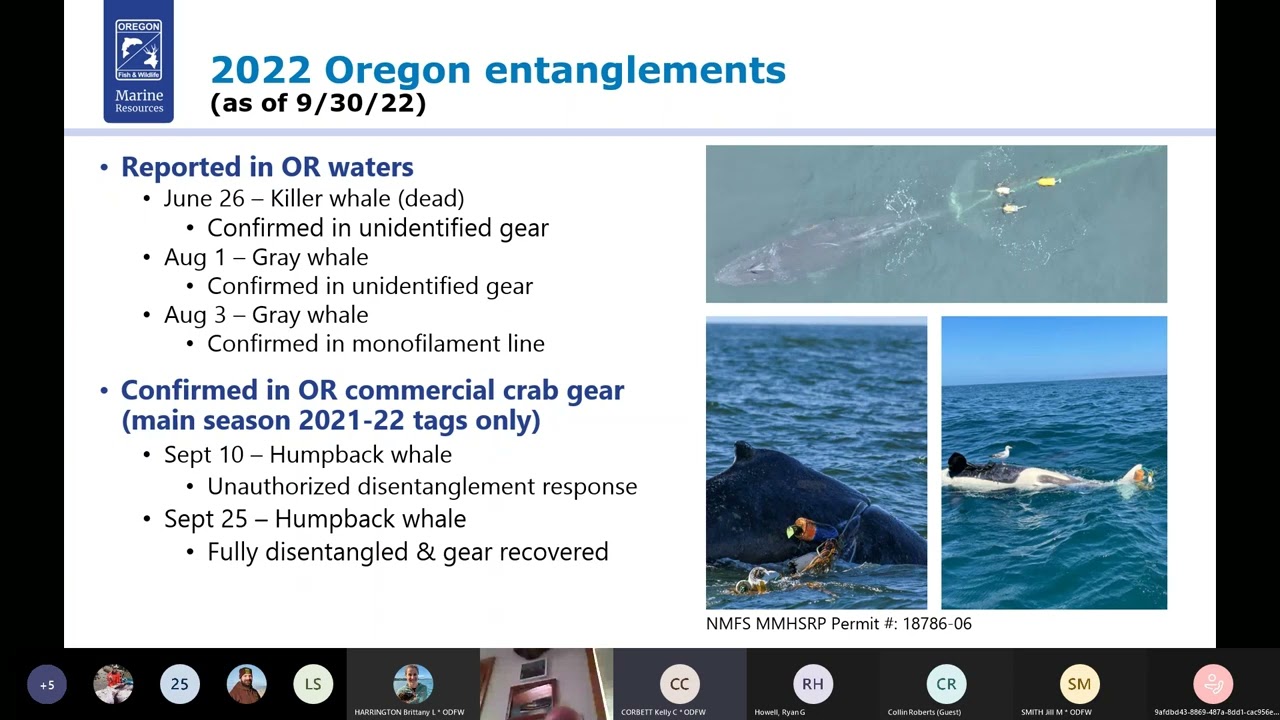 crab-public-meeting-north-bend-public-library-virtual-20221019-130038