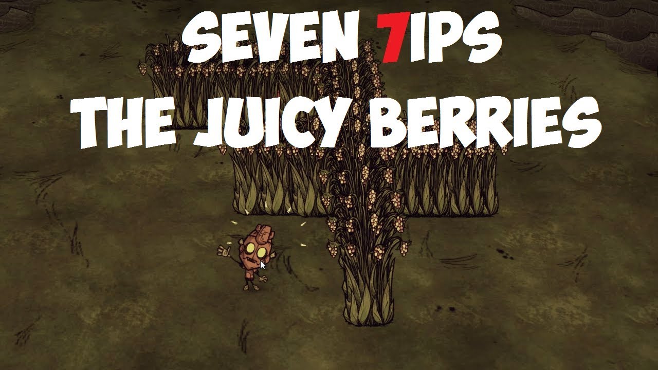 DST: JUICY BERRIES (Seven 7ips)