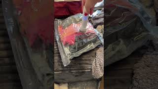 Vacuum travel bags