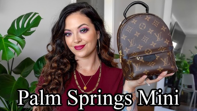 What's in my Bag! .. Louis Vuitton Palm Spring Mini Backpack Dupe