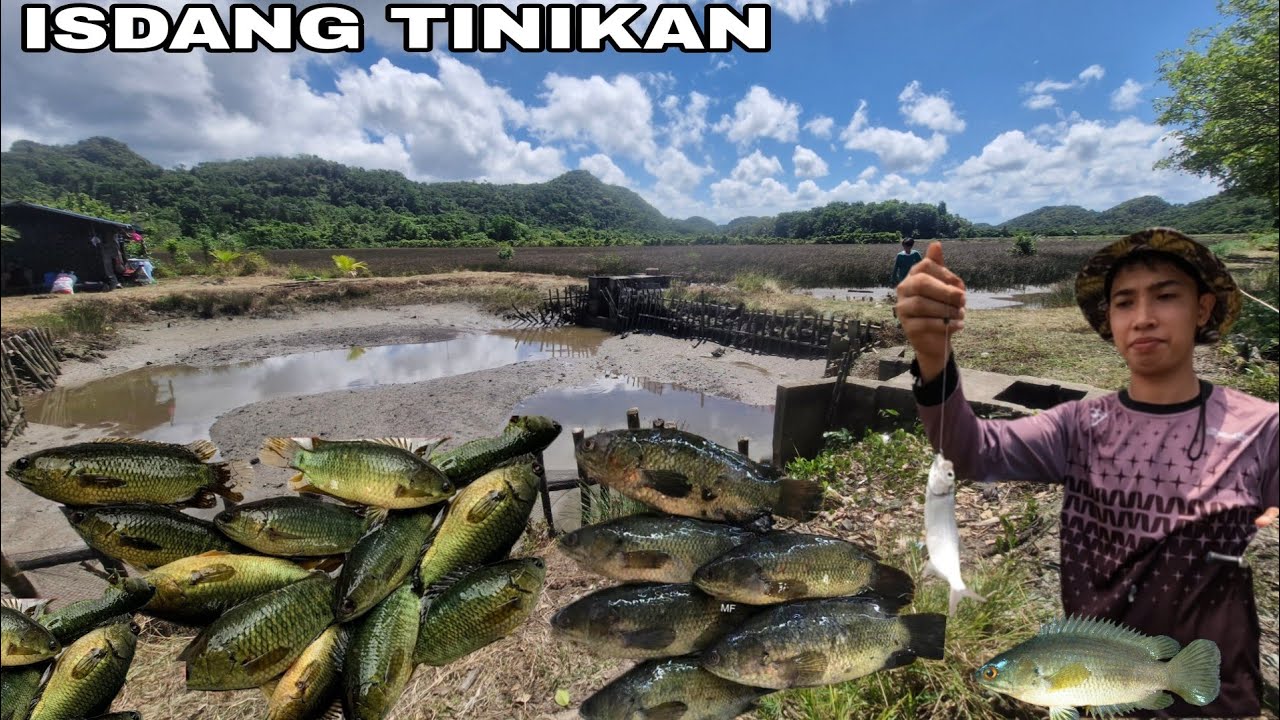 DUMAYO TAYO NG PANGHUHULI NG TILAPIA AT TINIKAN SA MALAWAK NA PALAISDAAN