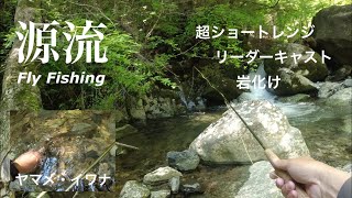 【高知インター店】 mqdefault.jpg リール
