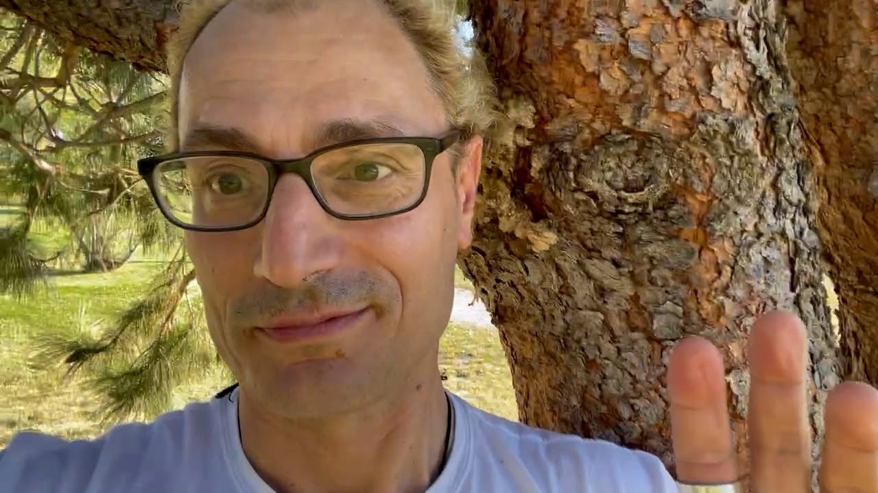 Why Make a Synthetic Human YouTube