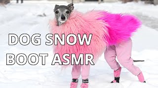 Dog Snow Boot ASMR by tika the iggy 3,997 views 1 year ago 2 minutes, 18 seconds