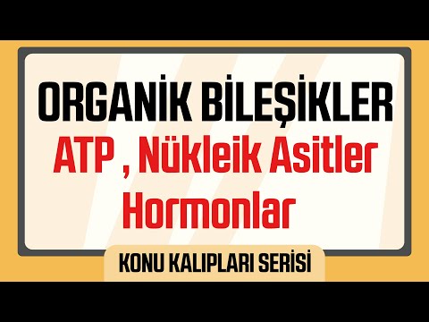 Organik Bileşikler ; ATP , Nükleik Asitler , Hormonlar