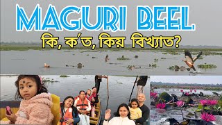 Maguri Motapung Beel (মাগুৰী বিল) || Wetland & Bird Sanctuary || Dibru Saikhuwa National Park ||