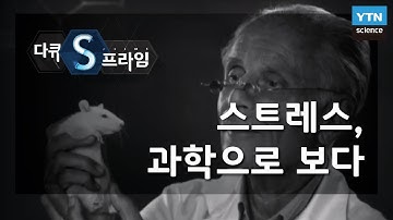 스트레스, 과학으로 보다 [다큐S프라임] / YTN 사이언스