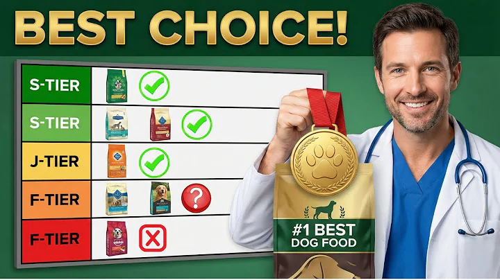 “Top 5 Dog Foods Ranked From Worst to Best (2025 Vet-Approved Chart)”