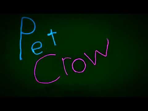 Guarda PET CROW - Insomnia su YouTube Guarda PET CROW - Insomnia su YouTube