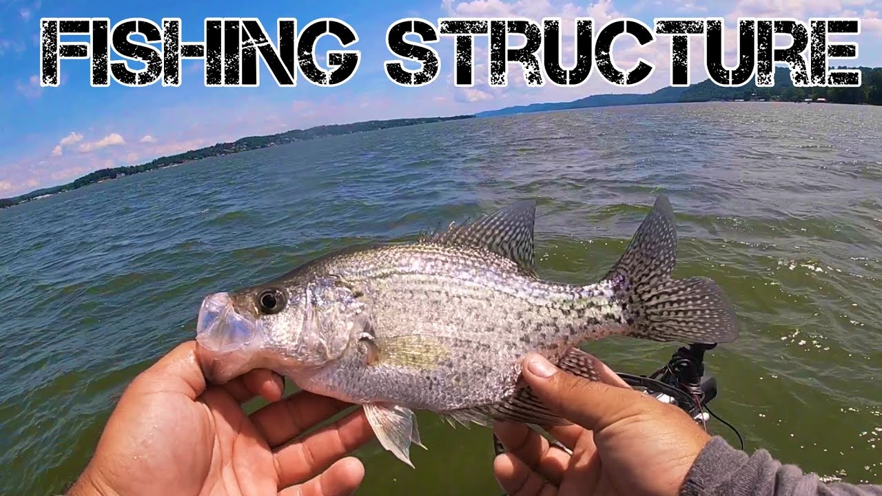 Fishing STRUCTURE For Summer Crappie!!! YouTube