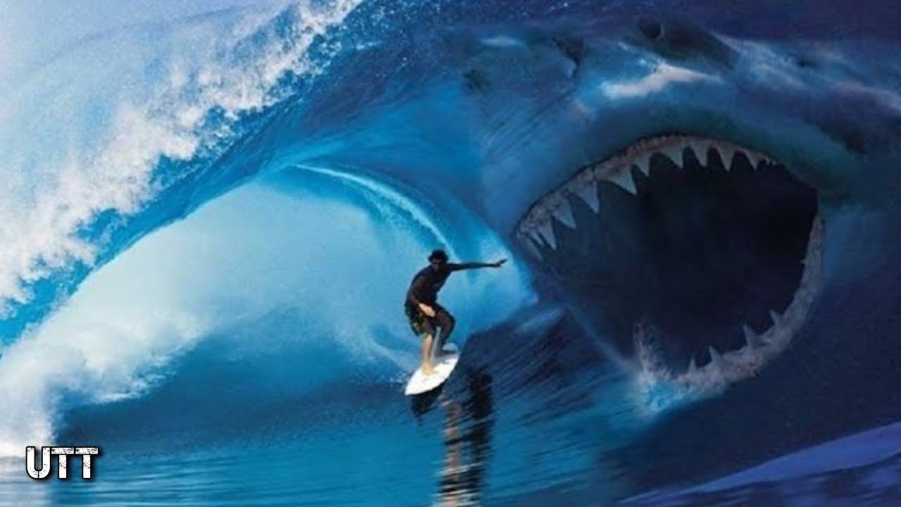 5 Most Dangerous Games In The World 5-most-dangerous-games-in-the-world