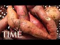 Are sweet potatoes healthy heres what experts say  time