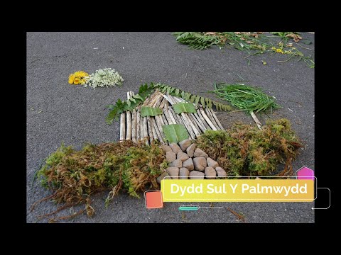 Teyrnas Y Teulu: Sul Y Palmwydd